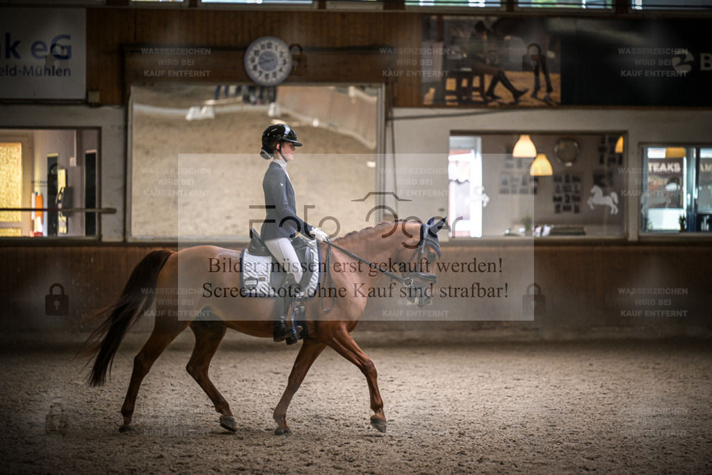 DOS_1543 | Entdecke hochwertige Reitturnierfotos von Foto Oger. Professionell, emotional und authentisch – jetzt Lieblingsmomente im Shop bestellen. - Realisiert mit Pictrs.com