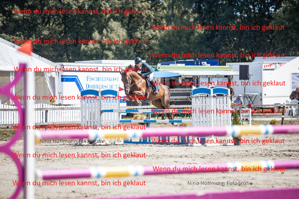 BK1A6453 | Turnierbilder Turnierfotos Nina Hüffmann Turnierfotografie Pferdefotografie Tierzeichnung Haustierzeichnung Pferdezeichnung Hundezeichnung Videograf  - Realisiert mit Pictrs.com
