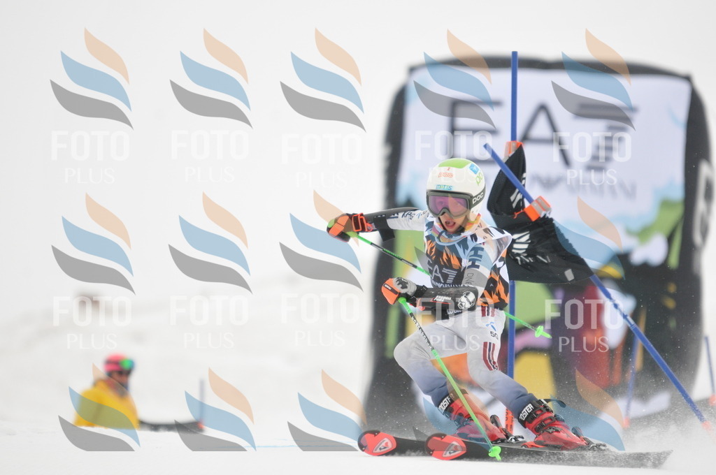 DSC_7753 | holidayphoto