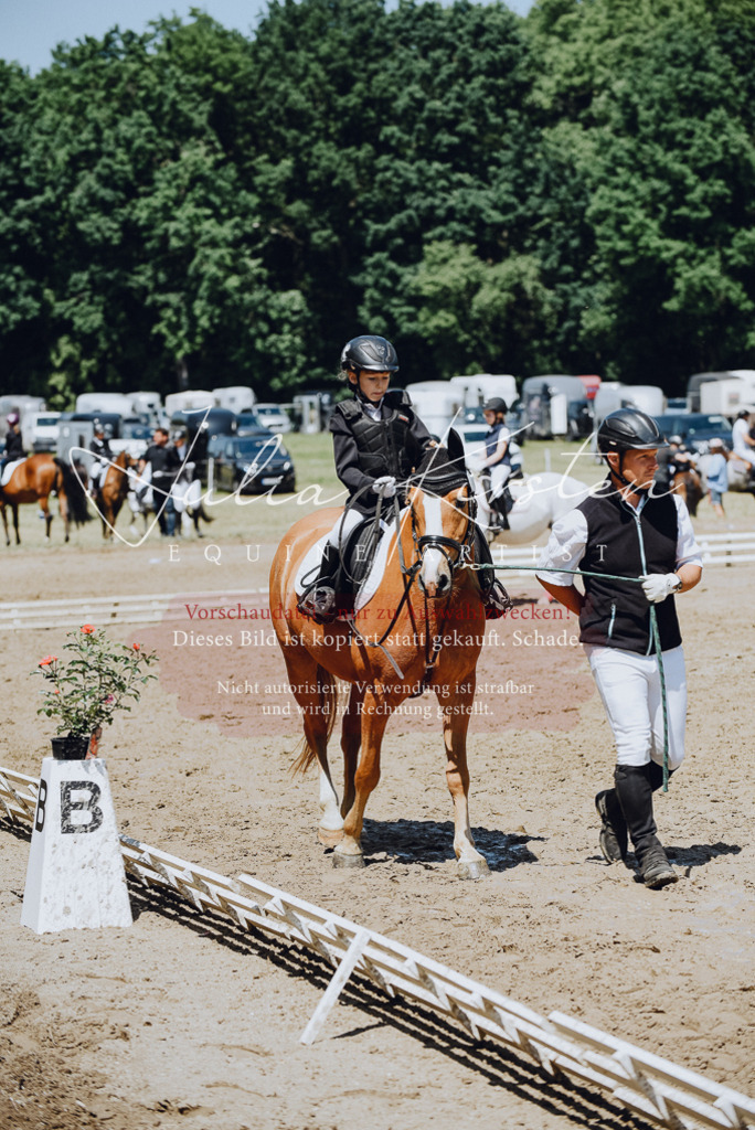 DSC_2392 | Pferde- und Turnierfotografie in Westsachsen. Pferdeportraits, Auftragszeichnungen und intuitive Kunst.