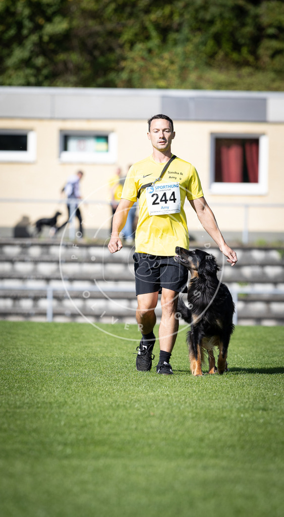 Pfotenfotografie_DV3A4926 | Hundefotografie, Tierfotograf, Pfotenfotografie, Fotoshooting Hund, Hunde Portrait, Hundesport, Hundeportraits, Heideshooting, Hunde, Sportfotograf, Hundefotograf, Turnierhundsport, THS,  - Realisiert mit Pictrs.com