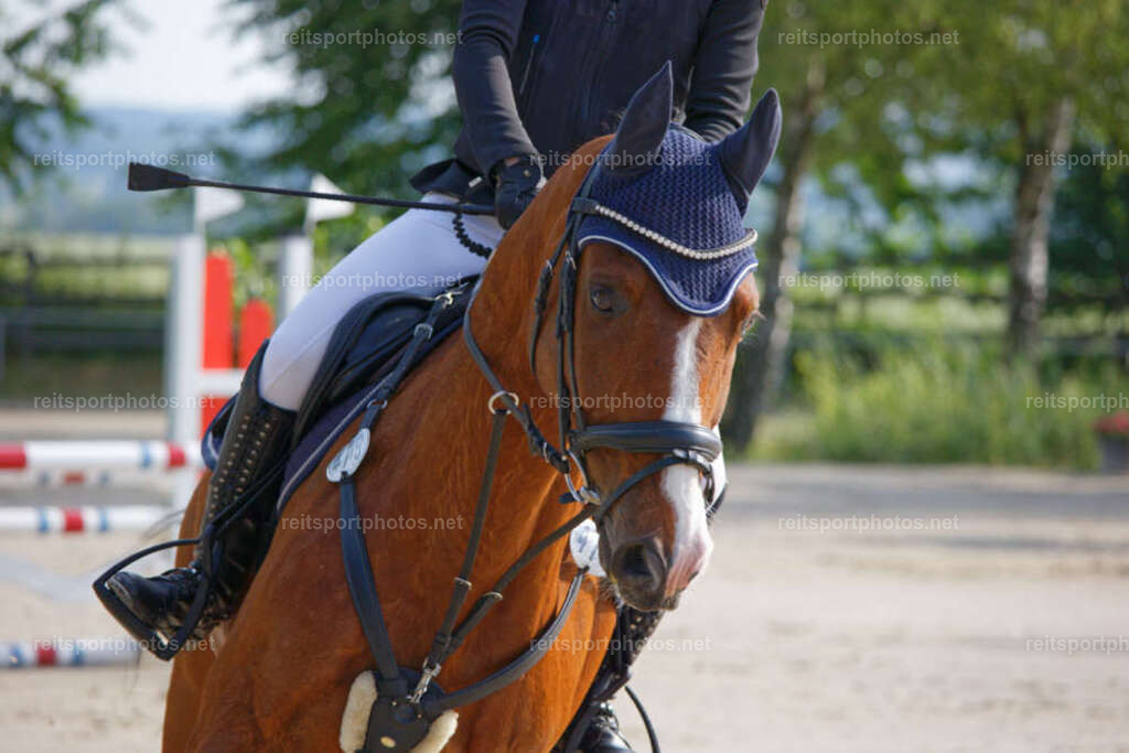 JHE_0258 | JoYa Fotografie - Realisiert mit Pictrs.com