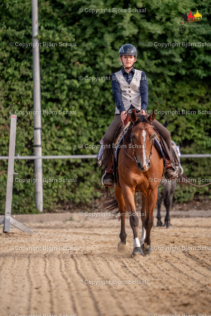 LMB02399 | BS-foto