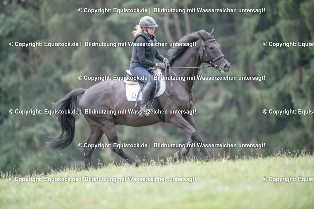 20250726_Vielseitigkeitslehrgang-Marbach_0660 | Foto: Thomas Hartig