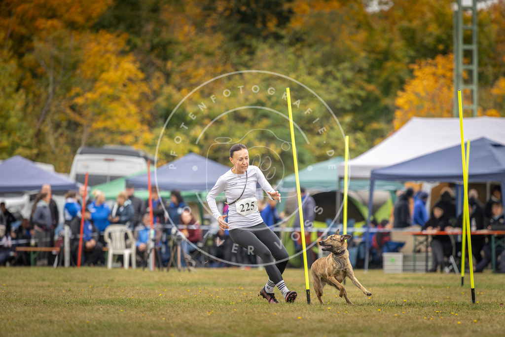 Pfotenfotografie_DV3A3917 | Hundefotografie, Tierfotograf, Pfotenfotografie, Fotoshooting Hund, Hunde Portrait, Hundesport, Hundeportraits, Heideshooting, Hunde, Sportfotograf, Hundefotograf, Turnierhundsport, THS,  - Realisiert mit Pictrs.com