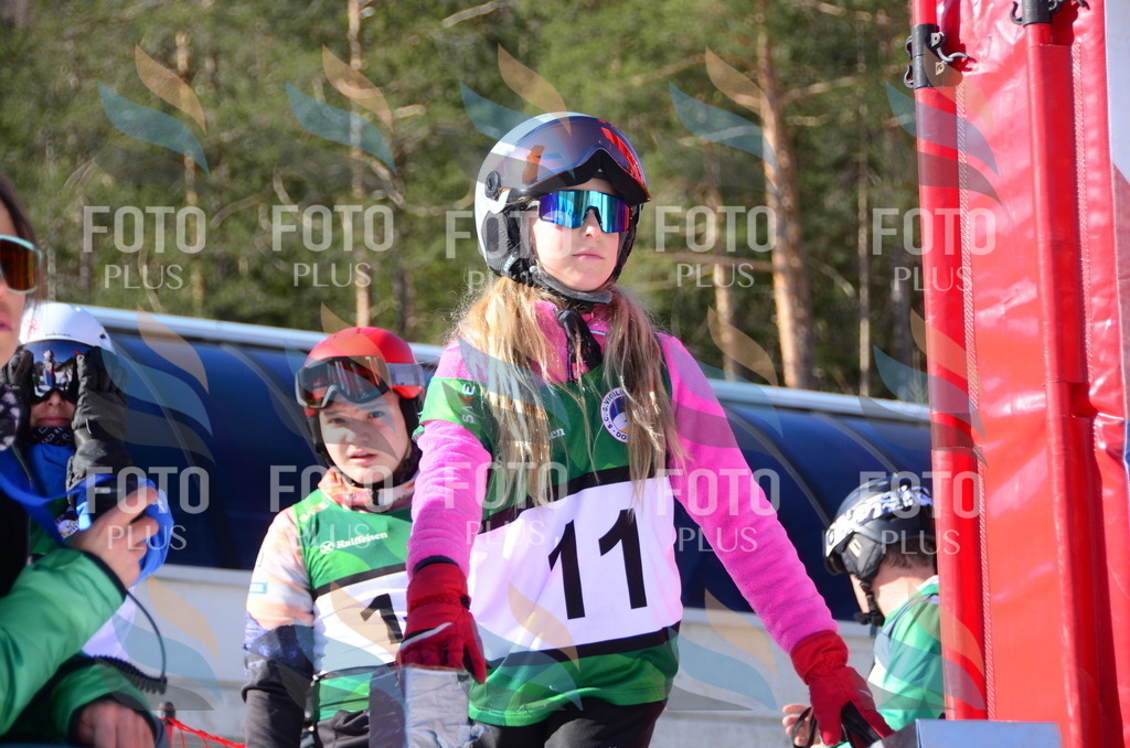 C4600 | holidayphoto