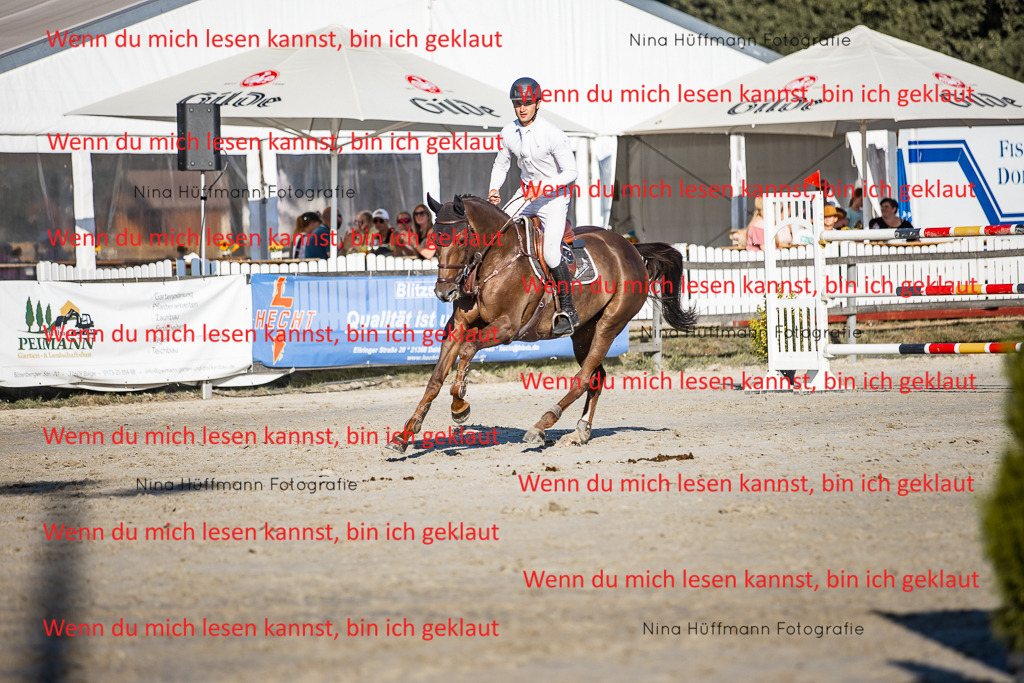 BK1A8715 | Turnierbilder Turnierfotos Nina Hüffmann Turnierfotografie Pferdefotografie Tierzeichnung Haustierzeichnung Pferdezeichnung Hundezeichnung Videograf  - Realisiert mit Pictrs.com