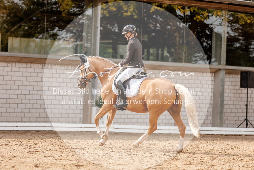 3I6A4399 | Stimmungsvolle Portraits und Reitsportfotografie im Ruhrgebiet und im Münsterland.

Pferdefotografie, Hundefotografie, Tierfotografie, Reportagen, Portraits von Tier und Mensch, Turnierfotografie in Bochum, Recklinghausen, Marl, Haltern am See, Dülmen.. - Realisiert mit Pictrs.com
