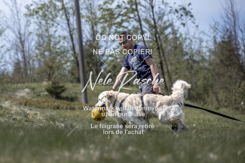 6Z1A0933 | nelerasche