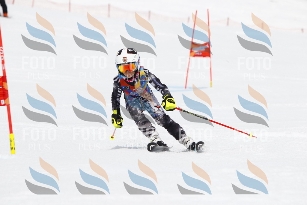 _U3G7316 | holidayphoto