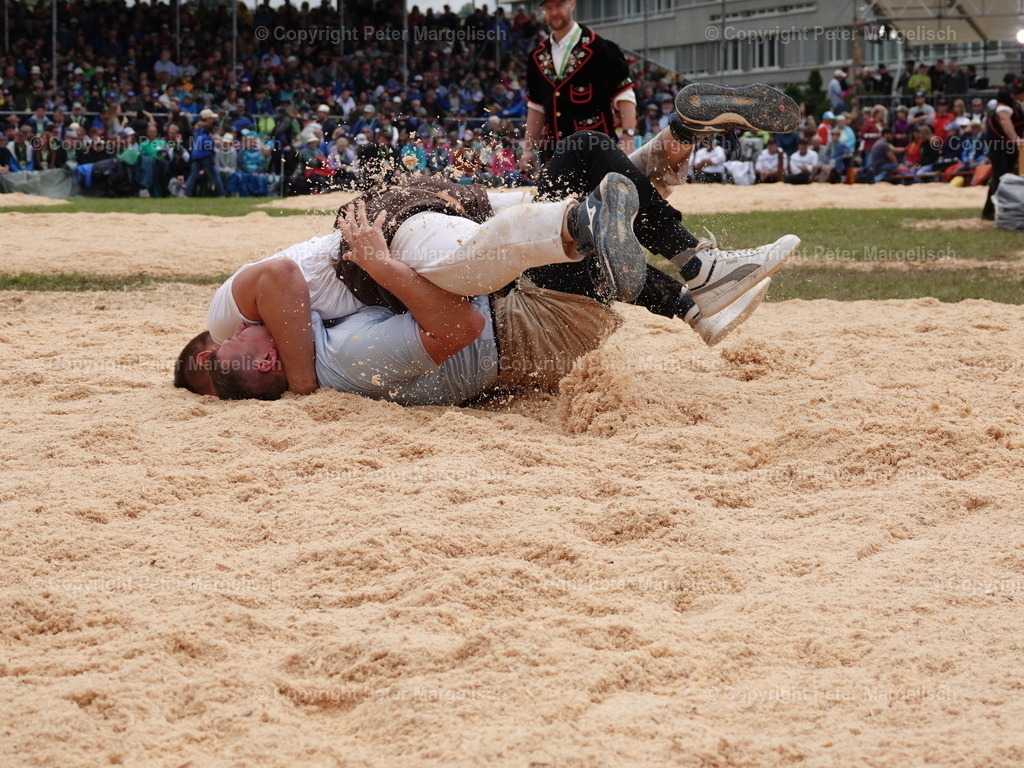 DSC08051 | Schwingen - Realisiert mit Pictrs.com