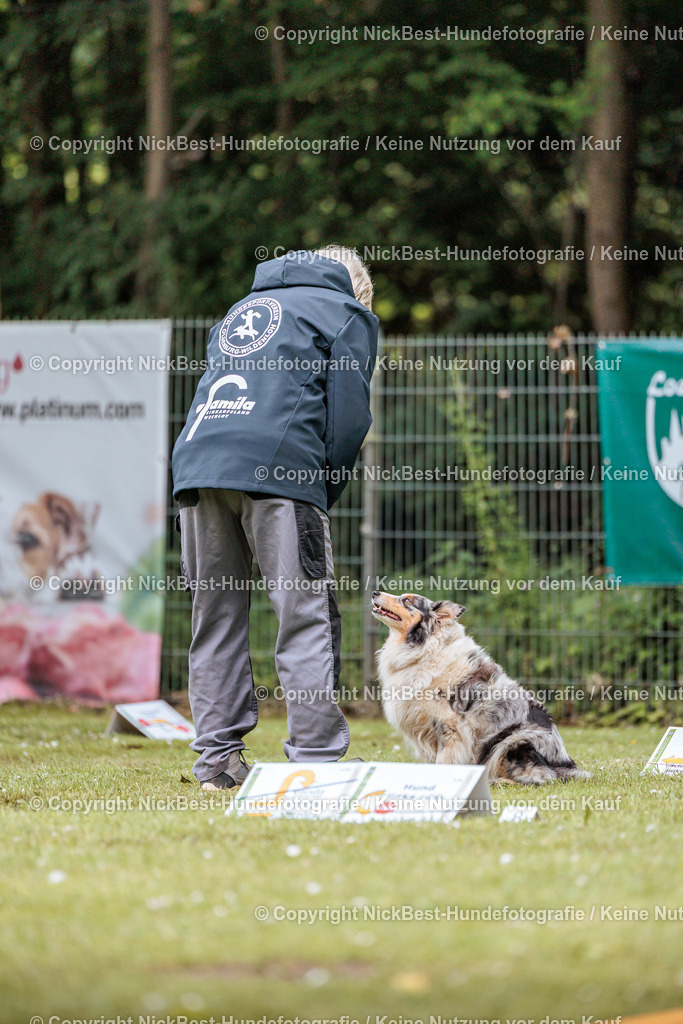 RO-Blumenthal-2026-Nickbest-Hundefotografie-2914 | Dein Hund! Dein Moment! Deine Erinnerungen! Hundefotografie in Bremen Blumenthal. Ich fange die besonderen Momente deines Vierbeiners ein – ob Indoor mit Blitzanlage oder in der freien Natur. Sicher dir dein Moment und dein Termin für eure Erinnerungen.