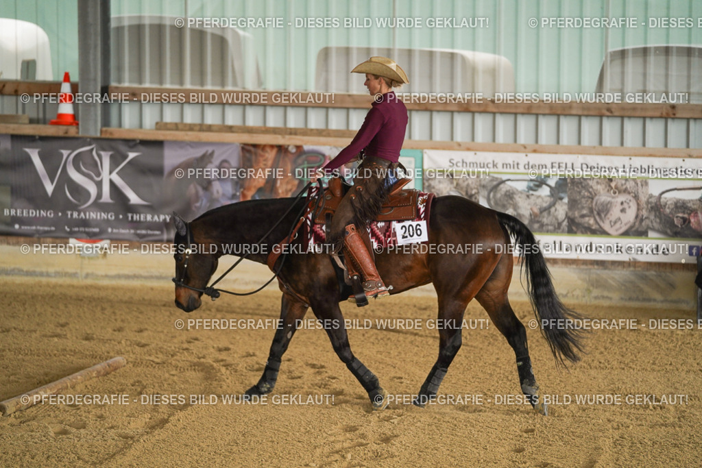 DSC03770 | Pferdegrafie