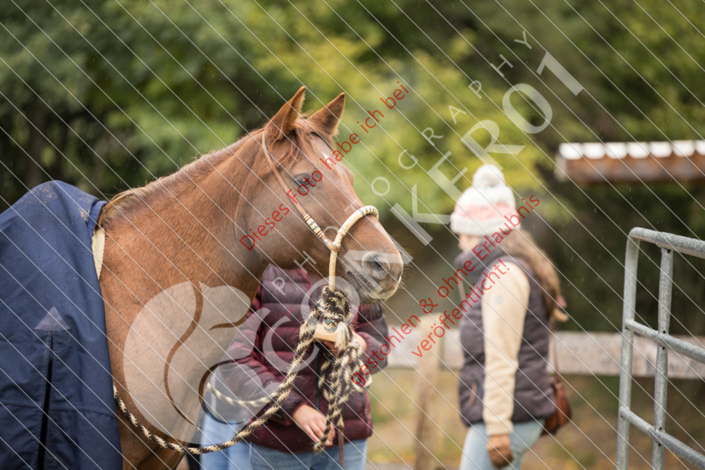 CON_8885 | Sport-, Event- und Tierfotos in Profiqualität. Einfach auswählen, bestellen und herunterladen. Dein Moment – perfekt festgehalten.