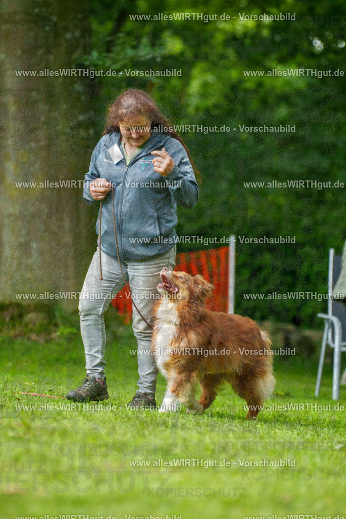 @allesWIRTHgut_Tierfotografie - www.allesWIRTHgut.de - 7R505081 | Professionelle Tierfotografie in Mönchengladbach von Daniel Wirth (allesWIRTHgut). Liebevolle & natürliche Bilder von Hunden & Katzen für unvergessliche Erinnerungen.