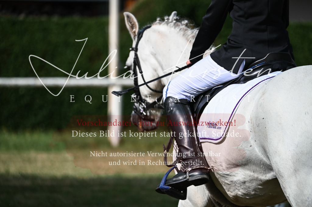 DSC_7708 | Pferde- und Turnierfotografie in Westsachsen. Pferdeportraits, Auftragszeichnungen und intuitive Kunst.