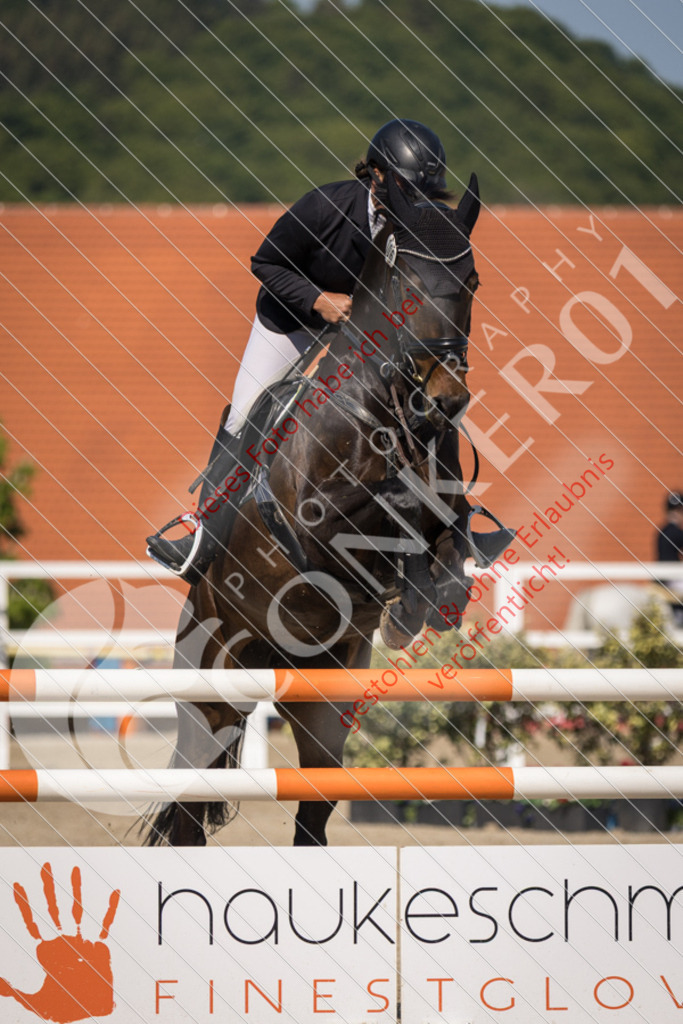 IMG_4172 | Sport-, Event- und Tierfotos in Profiqualität. Einfach auswählen, bestellen und herunterladen. Dein Moment – perfekt festgehalten.