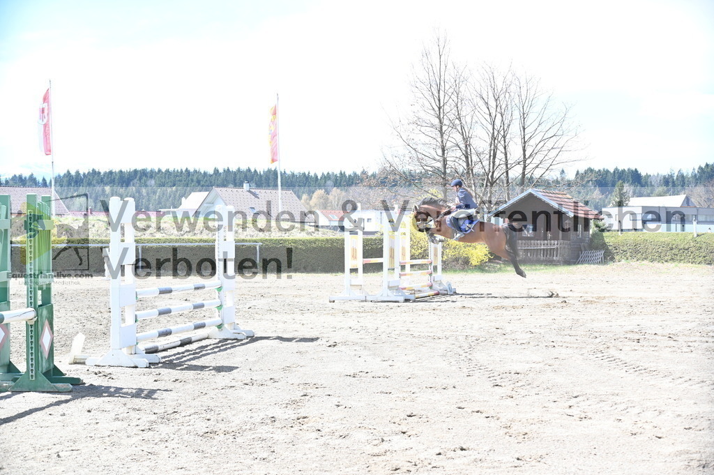 DSC_4816 | equestrian-live-com