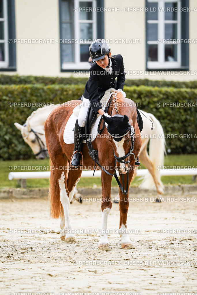 DSC05692 | Pferdegrafie