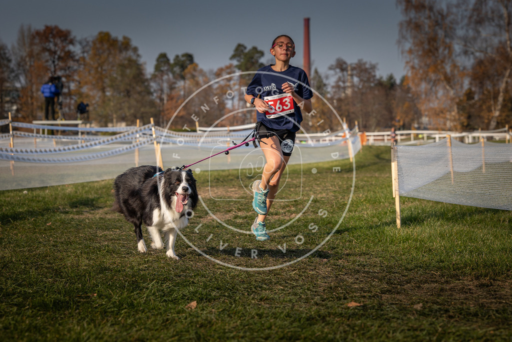 CaniXpix_0L8A9400 | Hundefotografie, Tierfotograf, Pfotenfotografie, Fotoshooting Hund, Hunde Portrait, Hundesport, Hundeportraits, Heideshooting, Hunde, Sportfotograf, Hundefotograf, Turnierhundsport, THS,  - Realisiert mit Pictrs.com
