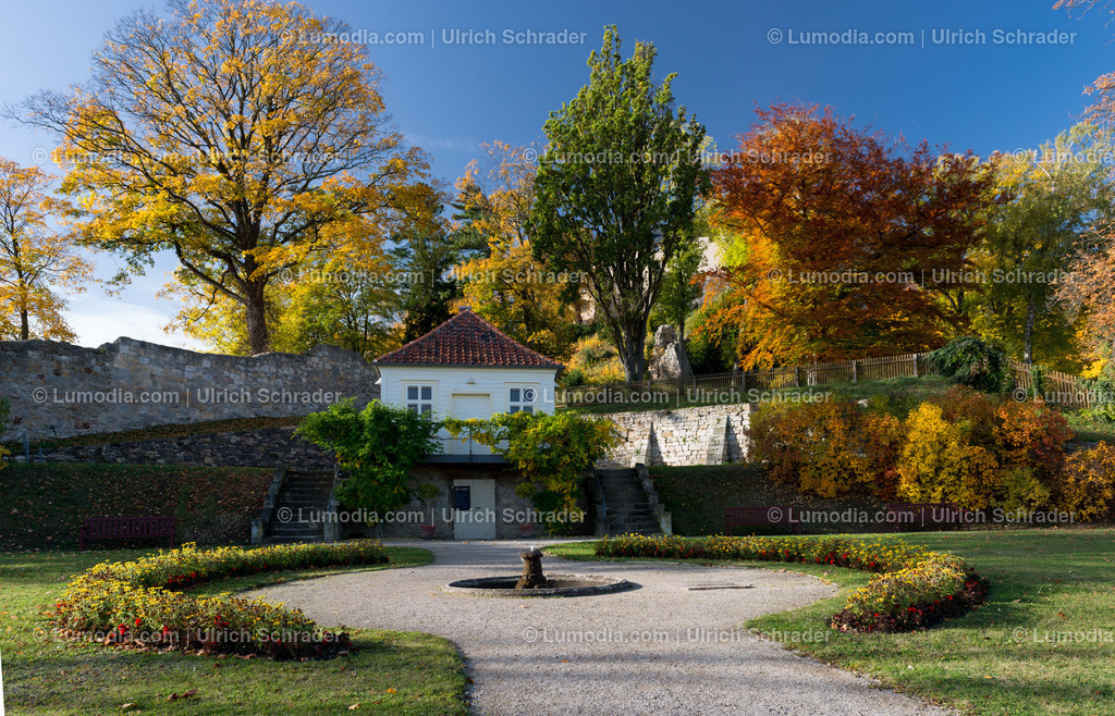 100494-3941 - Barockgarten Blankenburg | max. Bildgröße A2 | 300dpi - Realisiert mit Pictrs.com