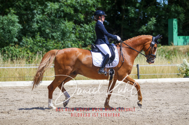 DKP46598 | Turniersportfotografie; Pferdefotografie; Dressurfotografie