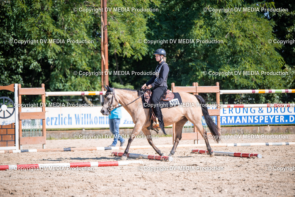 ZS1_0885 | dv-media-shop - Realisiert mit Pictrs.com