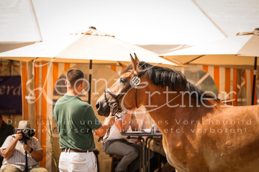 2.Sa00069 | Leoni Ertmer Photography - Realisiert mit Pictrs.com