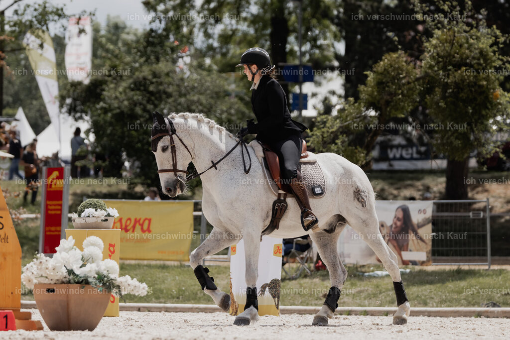 WE_ST_Stoib_312_PI2025_1075 | Pferd International München 2025