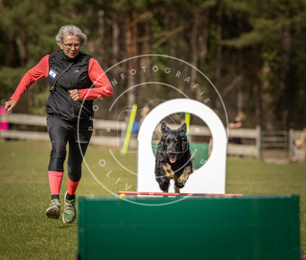 Pfotenfotografie_DV3A0147 | Hundefotografie, Tierfotograf, Pfotenfotografie, Fotoshooting Hund, Hunde Portrait, Hundesport, Hundeportraits, Heideshooting, Hunde, Sportfotograf, Hundefotograf, Turnierhundsport, THS,  - Realisiert mit Pictrs.com