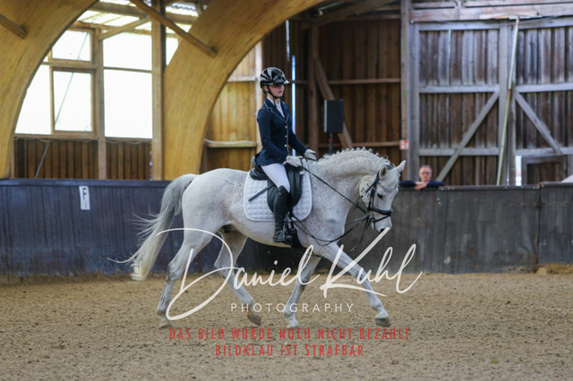 IMG_0771 | Turniersportfotografie; Pferdefotografie; Dressurfotografie