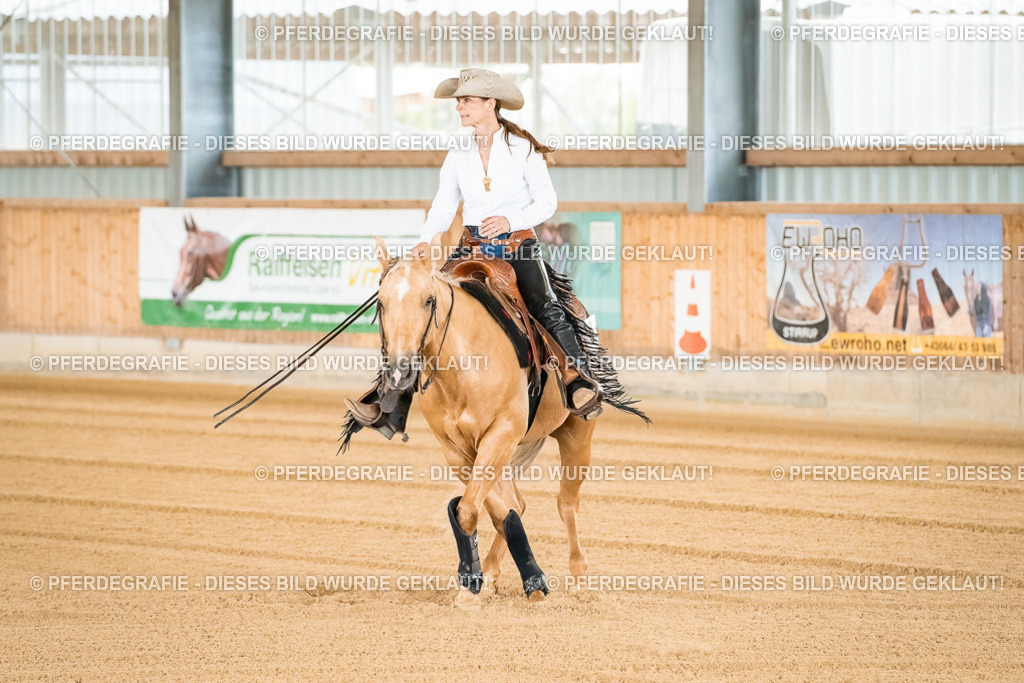 DSC02553 | Pferdegrafie