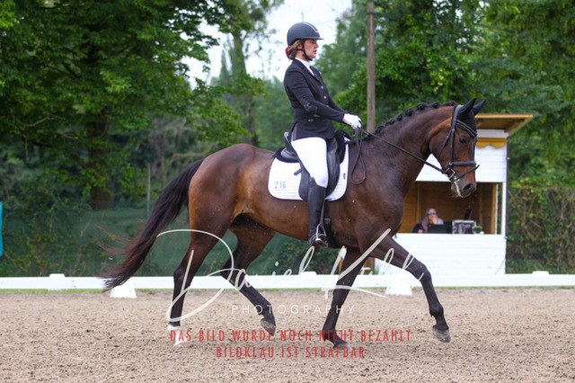 DKP41819 | Turniersportfotografie; Pferdefotografie; Dressurfotografie