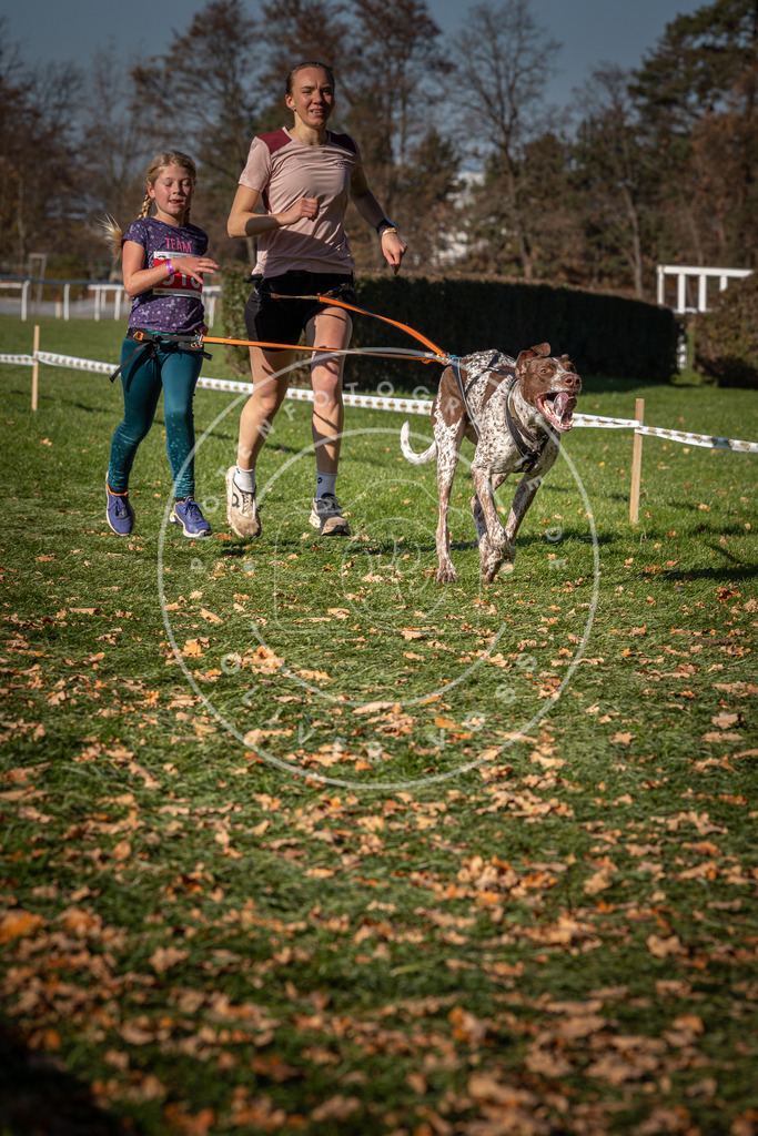 CaniXpix_0L8A7033 | Hundefotografie, Tierfotograf, Pfotenfotografie, Fotoshooting Hund, Hunde Portrait, Hundesport, Hundeportraits, Heideshooting, Hunde, Sportfotograf, Hundefotograf, Turnierhundsport, THS,  - Realisiert mit Pictrs.com
