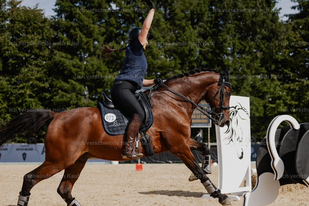 Nadine22_FHC2025-129 | working equitationturnier fotograf videograf stoibphotography marixx film working equitation deutschland reitsport turnierfotografie eventfotografie equestrian events