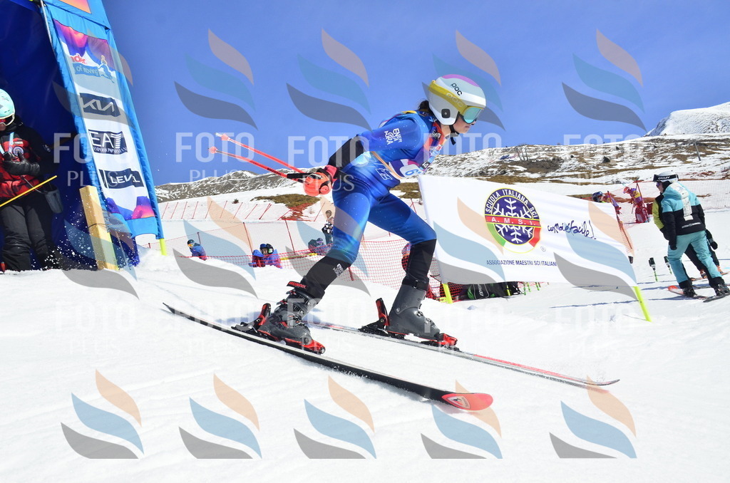 _ELE0295 | holidayphoto