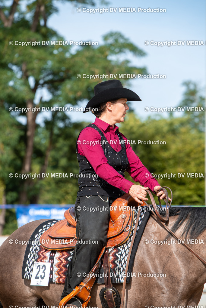 EWP_5821 | dv-media-shop - Realisiert mit Pictrs.com