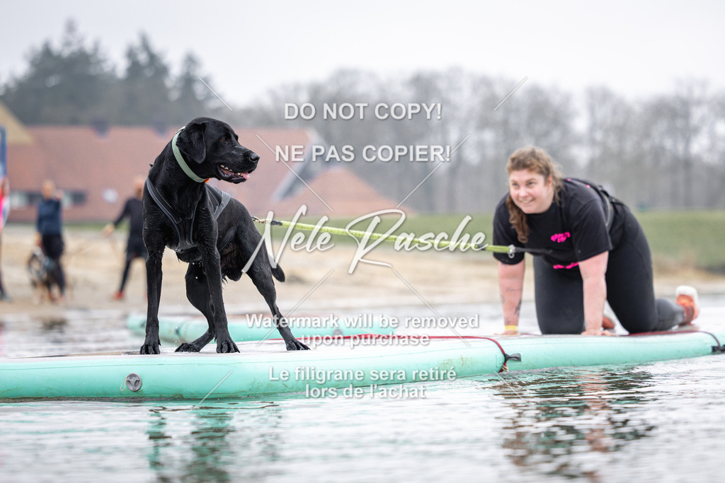 nelerasche_Hulsbeek_Sa1100-1130_313 | nelerasche