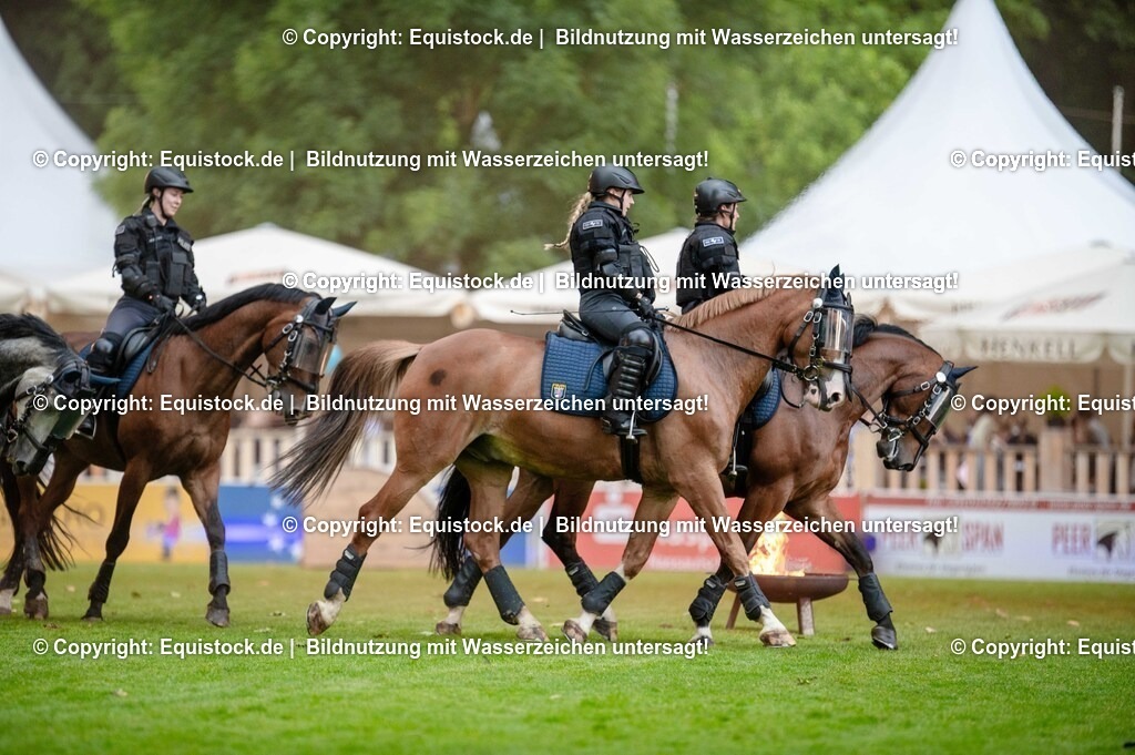 20250606_Lange-Pferdenacht_0788 | Foto: Thomas Hartig