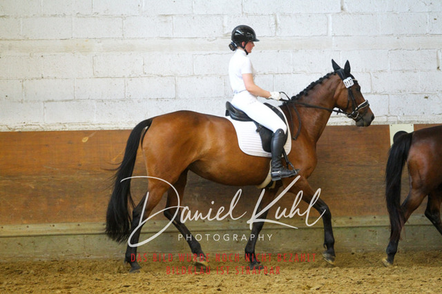 DKP44301 | Turniersportfotografie; Pferdefotografie; Dressurfotografie