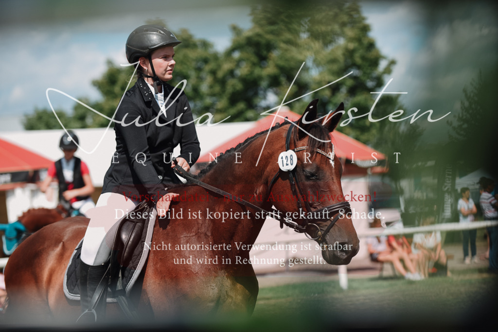 DSC_5770 | Pferde- und Turnierfotografie in Westsachsen. Pferdeportraits, Auftragszeichnungen und intuitive Kunst.