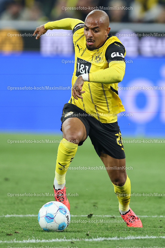 BVB13092402210 | 13.09.2024, 1. Fußball Bundesliga, Borussia Dortmund - 1. FC Heidenheim 1846, Signal Iduna Park, Saison 2024 2025: Donyell Malen (BVB #21)DFB regulations prohibit any use of photographs as image sequences and or quasi-video.