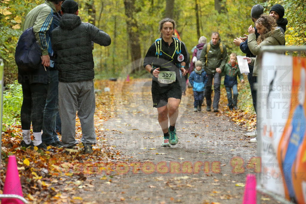 251026_1337_EX1_3767 | Sportfotografie im Rhein-Sieg Kreis, Köln, Bonn, NRW, Rheinland Pfalz, Hessen, etc. Unser Tätigkeitsfeld umfasst den Laufsport vom Volkslauf über den Marathon, Duathlon, Triathon bis zum Ultralauf wie Kölnpfad Ultra oder Schindertrail.