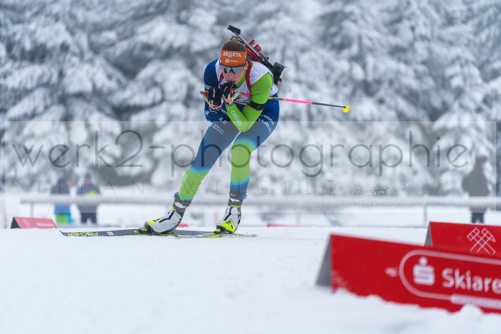 DP Oberwiesenthal | Alpencup/DP Deutschlandpokal in Oberwiesenthal am 15.-17.12.2023