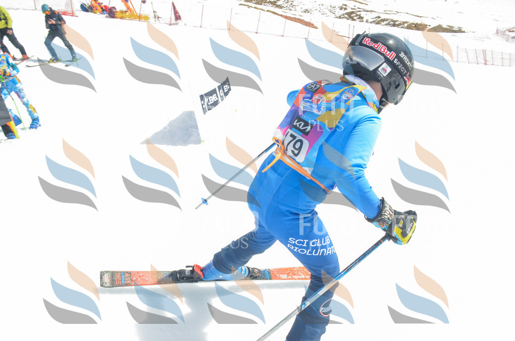 _ELE6654 | holidayphoto