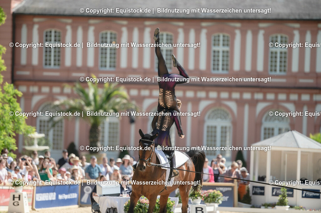 20230528_Voltigieren_NASPA_0237 | equistock