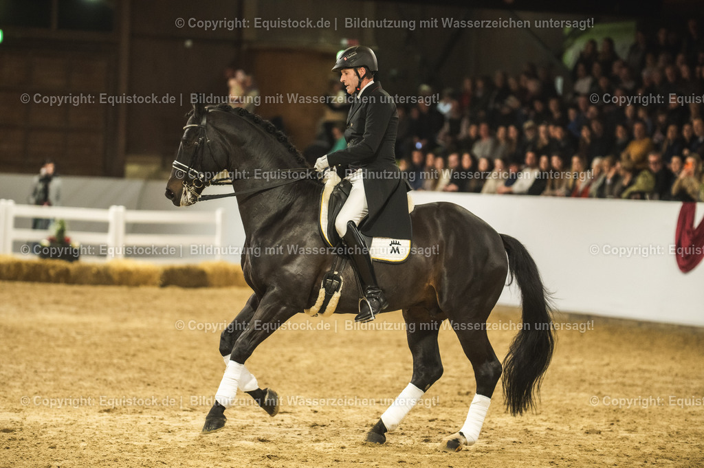 20240302_Hengstvorstellung_Marbach_TOMsPiC_1447 | equistock