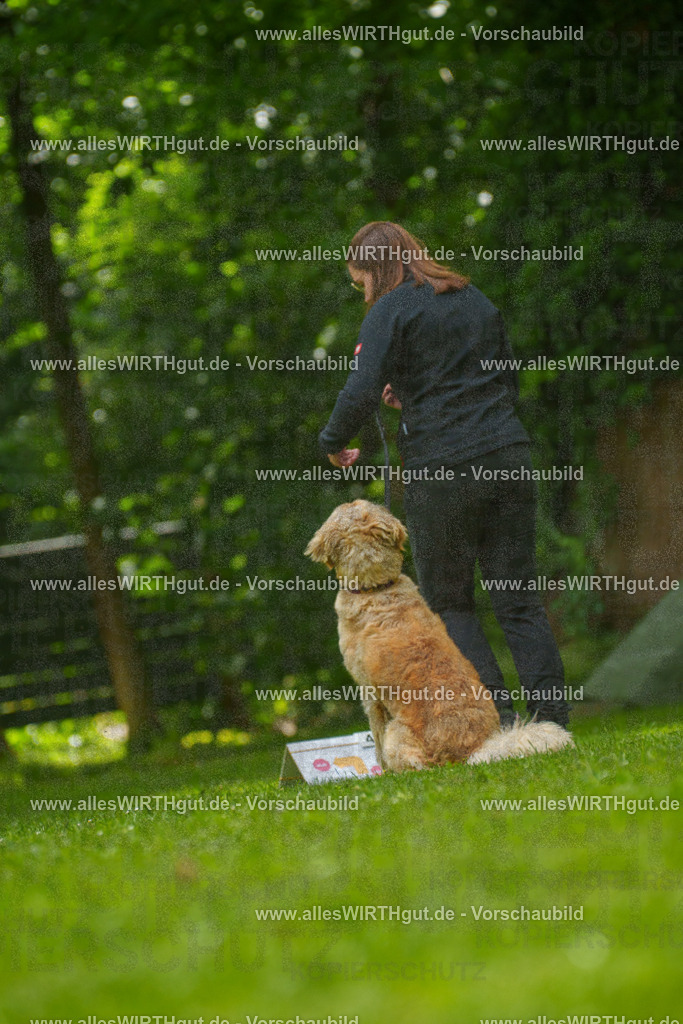 @allesWIRTHgut_Tierfotografie - www.allesWIRTHgut.de - 7R501536 | Professionelle Tierfotografie in Mönchengladbach von Daniel Wirth (allesWIRTHgut). Liebevolle & natürliche Bilder von Hunden & Katzen für unvergessliche Erinnerungen.