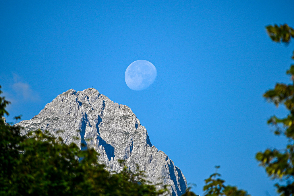 Wächter des Tageslichts | Ein fast vollständiger Mond steht leuchtend am strahlend blauen Himmel, direkt oberhalb eines markanten, schroffen Felsgipfels. Die detailreichen, sonnenbeschienenen Kalkfelsen treffen auf die sanfte, blassblaue Silhouette des Mondes und erzeugen einen faszinierenden Kontrast zwischen Erde und Kosmos. Ein Rahmen aus sattgrünem Laub im Vordergrund verleiht der Szene Tiefe. Dieses zeitlose Motiv vermittelt ruhige Erhabenheit und fängt die verzaubernde Magie eines klaren Alpenmoments am helllichten Tag ein. - Realisiert mit Pictrs.com