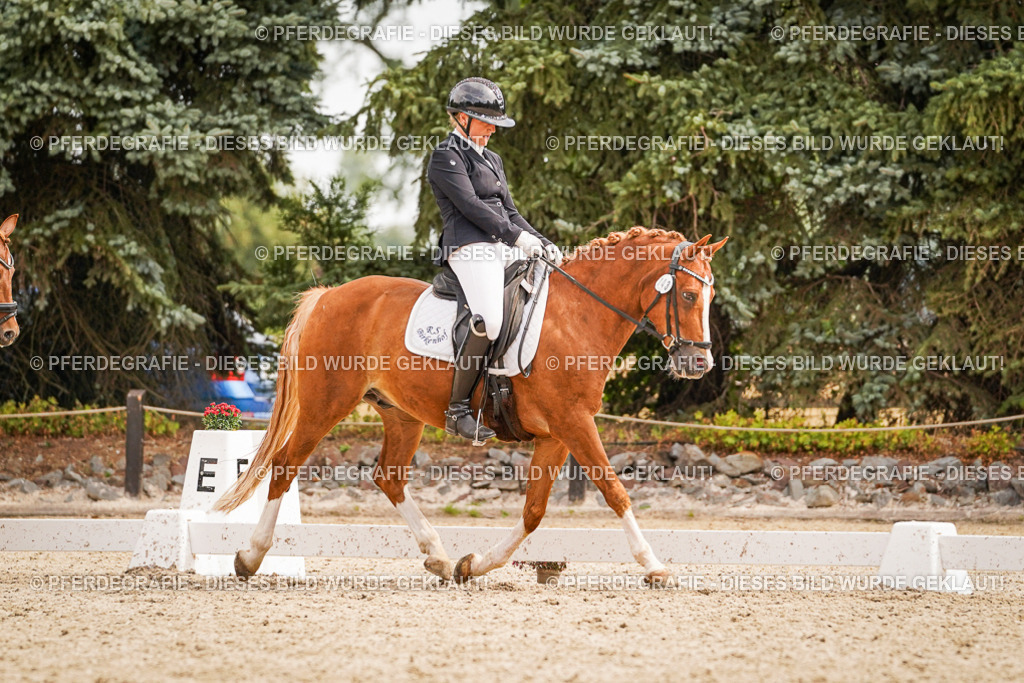 DSC02111 | Pferdegrafie